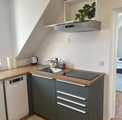 Cozy City Center דירה